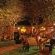 Etosha Safari Camping2Go - 138279