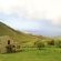 Kinmel Guest Farm - 138291