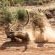 Impodimo Game Lodge - 138353