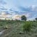 Impodimo Game Lodge - 138362