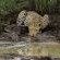 Impodimo Game Lodge - 138373