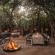Dulini Lodge - 138478
