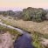 Dulini River Lodge - 138491