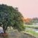 Dulini River Lodge - 138498