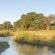 Dulini River Lodge - 138499