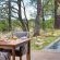 Leadwood Lodge - 138510