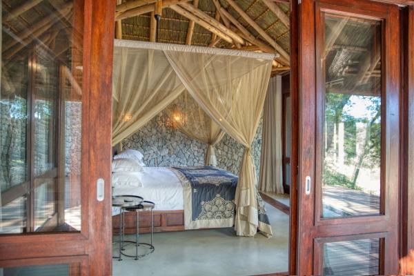 Leadwood Lodge - 138517