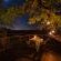 Leadwood Lodge - 138521