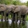 Ulusaba Rock Lodge - 138657