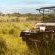 Ulusaba Rock Lodge - 138666