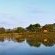 Ulusaba Safari Lodge - 138691