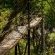 Ulusaba Safari Lodge - 138696