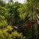 Ulusaba Safari Lodge - 138697