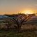 Three Tree Hill Lodge - 138709