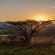 Three Tree Hill Lodge - 138709