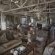 Three Tree Hill Lodge - 138729