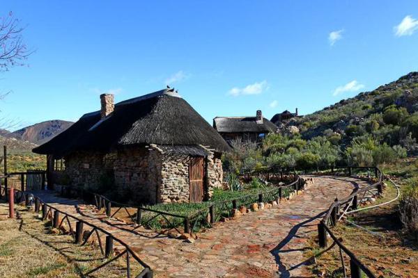 Aquila Private Game Reserve Safari & Spa - 138878