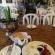 Transkaroo Country Lodge - 139065