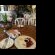 Transkaroo Country Lodge - 139065