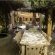 Transkaroo Country Lodge - 139079