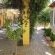 Transkaroo Country Lodge - 139093