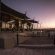 The Desert Grace - 139253