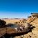Desert Whisper - 139307
