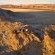 Desert Whisper - 139320
