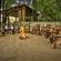 Bateleur Safari Camp - 139331