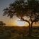 Bateleur Safari Camp - 139347