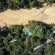 Bateleur Safari Camp - 139348