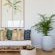 Cape Beach Villa - 139494