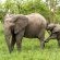 Leopard Hills Private Game Reserve - 139722