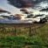 Bonnievale River Lodge - 139892