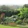 Sugar Hill Manor Guesthouse - 140454