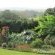 Sugar Hill Manor Guesthouse - 140454