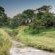 Hippo Hollow Country Estate - 140484