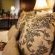 Stonehenge River Lodge  - 140608