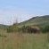 Manyane Resort - 140764