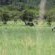 Manyane Resort - 140769