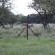 Manyane Resort - 140771