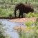 Manyane Resort - 140774