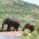 Manyane Resort - 140775