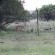 Manyane Resort - 140776