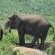 Manyane Resort - 140777