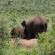 Manyane Resort - 140781