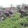 Manyane Resort - 140784
