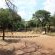 Manyane Resort - 140791