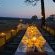 Hwange Safari Lodge - 141006