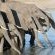 Hwange Safari Lodge - 141012